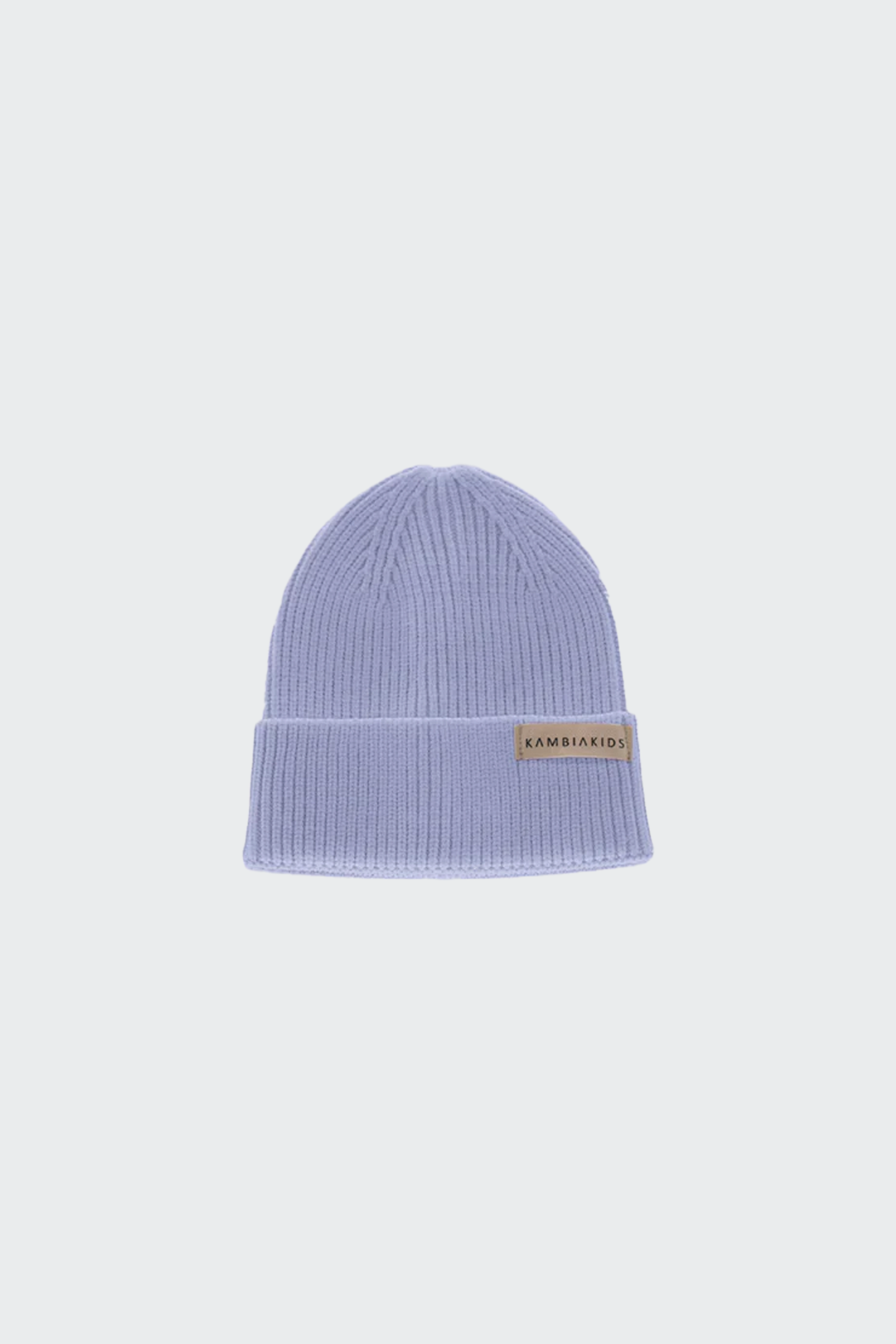 Purple | Toddler Beanie